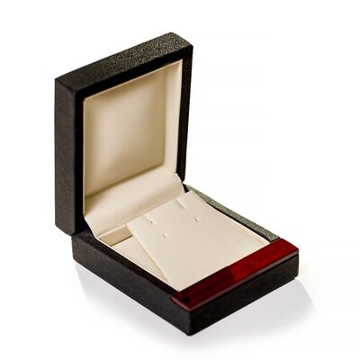 Футляр для серег